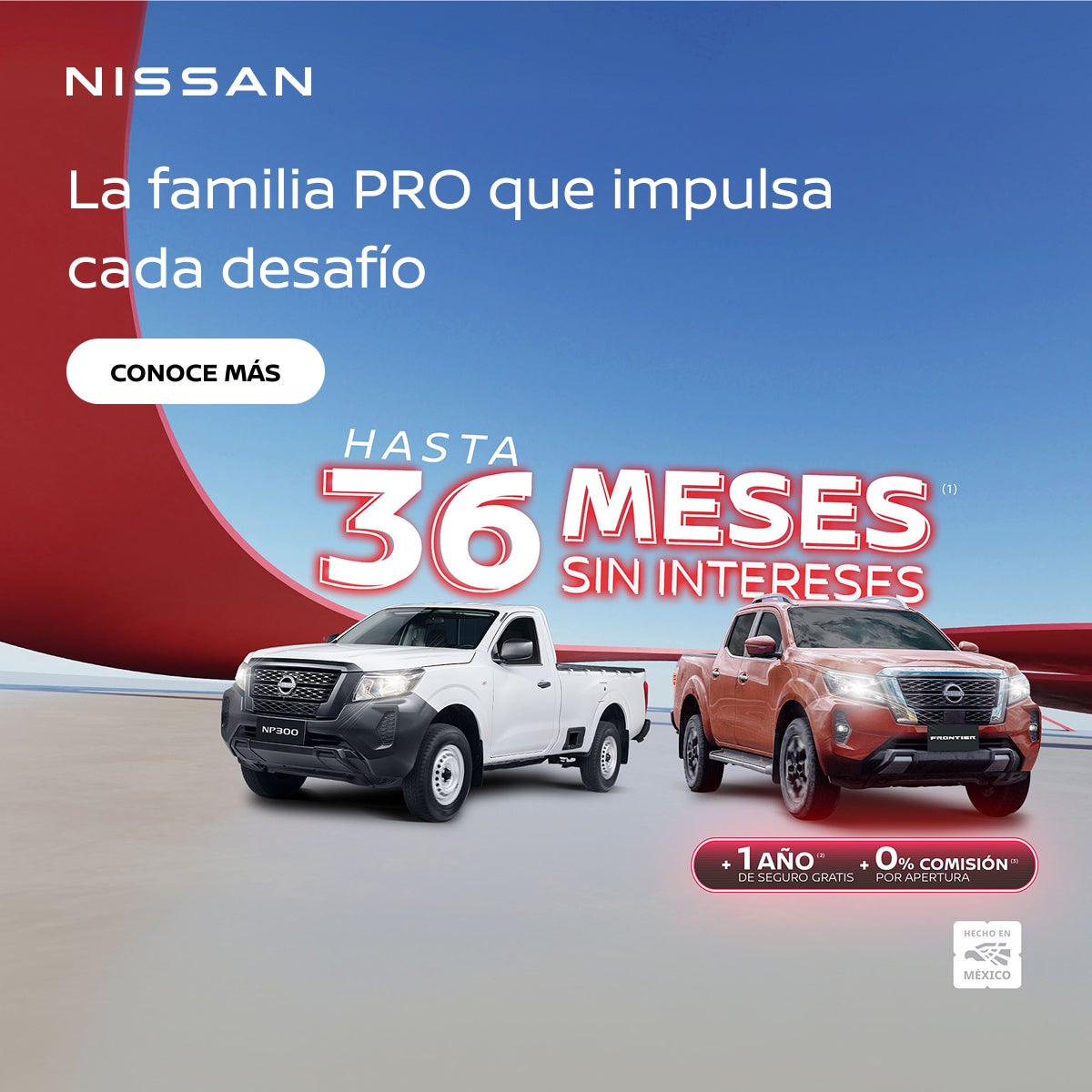 NISSAN FAMILIA PRO